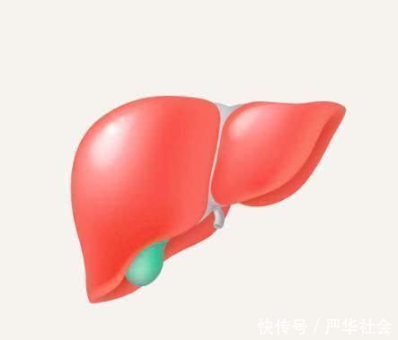 肝脏毒素的“克星”来了，轮流吃一周，肝脏不“藏”毒，肝火消