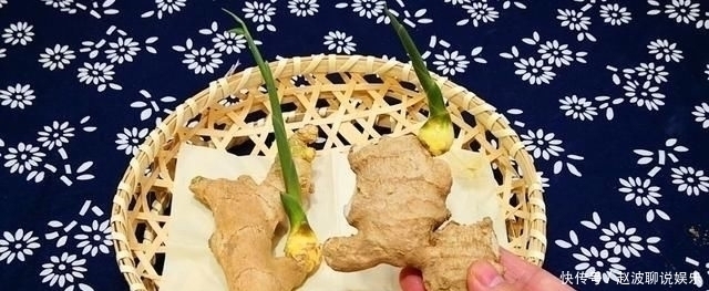 生姜|原来保存生姜这么简单,放半年不干瘪不发芽,再也不怕生姜买多了