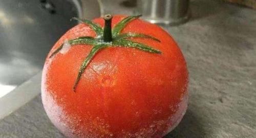 蔬菜|把买回来的西红柿放冰箱,变成“毒水果”?有3种蔬菜不适合放