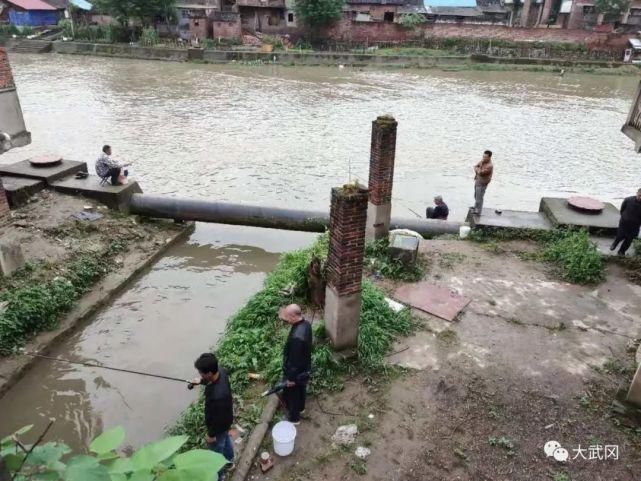 武冈|湖南这里河水上涨上百人钓鱼！一下子就有一脸盆！捞起挂...