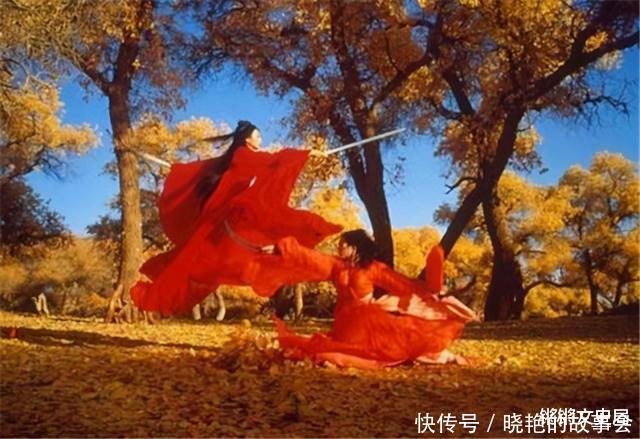 张艺谋的《英雄》被国外奉为神作,为何在国内却被踩得一无是处
