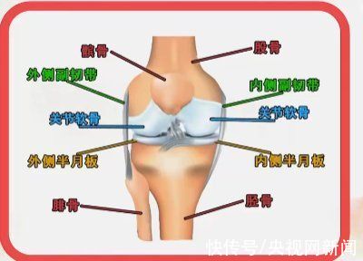 跑步机|骨科专家支招如何不让健身变伤身