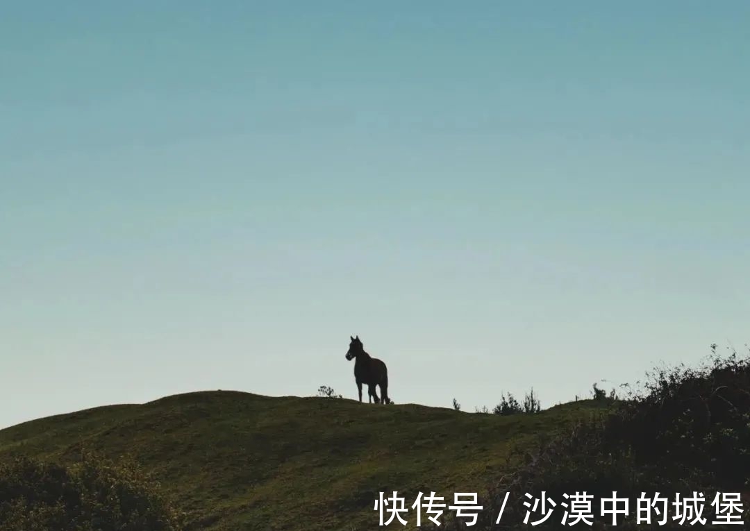 查令十字街84号&当你感到迷茫时,不如读读这本书