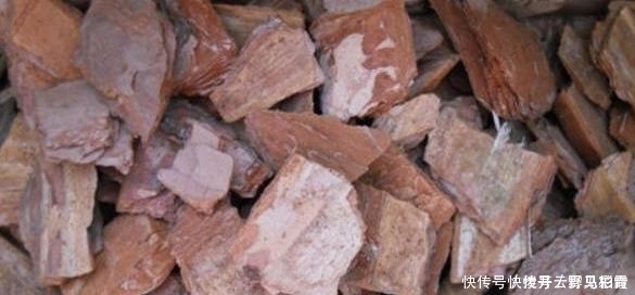 按需施肥太累人,不如就拿它当花土,养啥花都没问题!