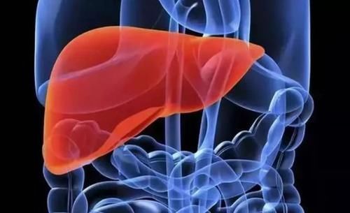 吃花生会伤肝？血脂也会升高？三高人群正确吃花生或许对身体有益