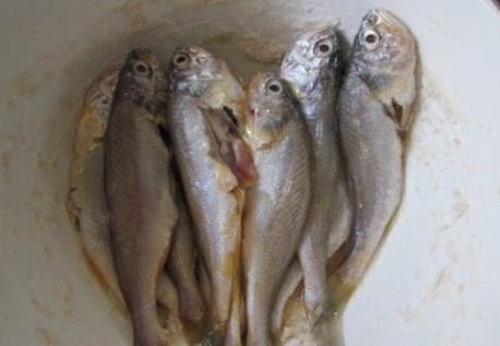 油锅|不管你煎什么鱼,直接去油锅是不对的。记两招鱼皮不破不粘锅