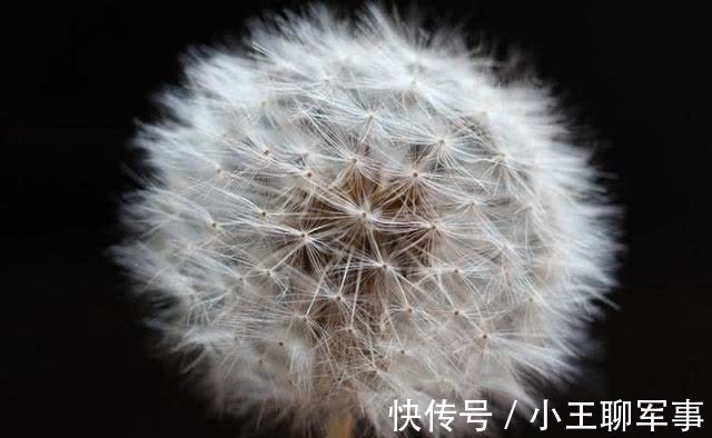 星座|10月上旬，旧情渐渐苏醒，姻缘回归，百年好合的4大星座