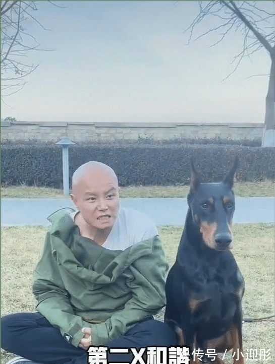 超级先生|乐嘉近况被曝生活滋润，养万元纯种大型犬！因劣迹太多曾被封杀！