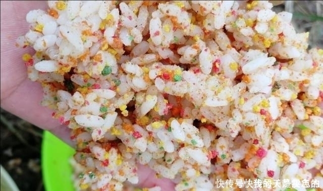 饵料|米饭粒这样用,这个夏季钓鲫鱼再也不怕小鱼闹,不信你就试试看