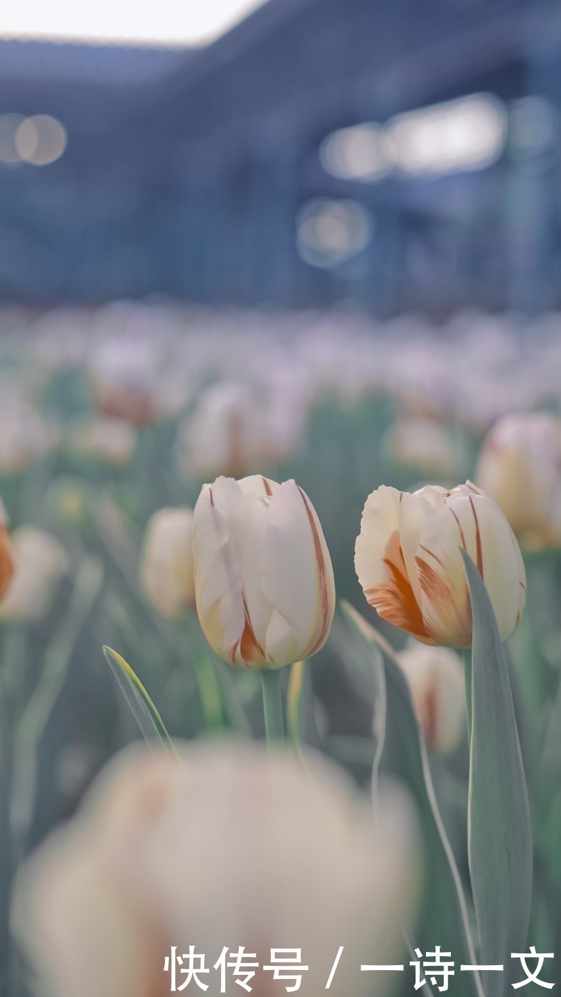 永远|你是我的特例,是我永远的太阳