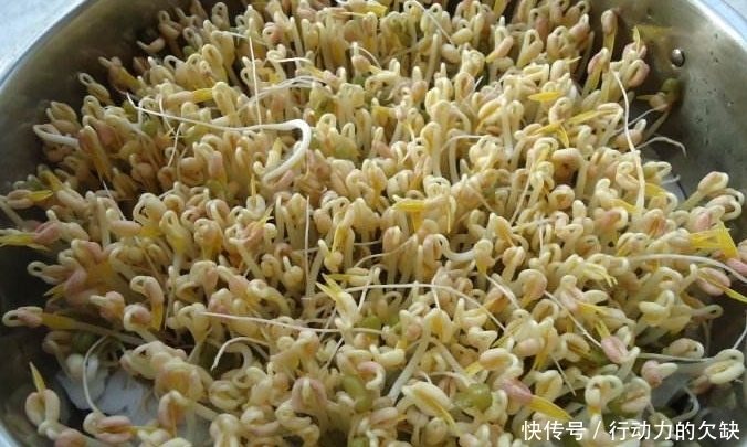想吃豆芽自己发,掌握这3点技巧,保准零失败,2天就能吃到!