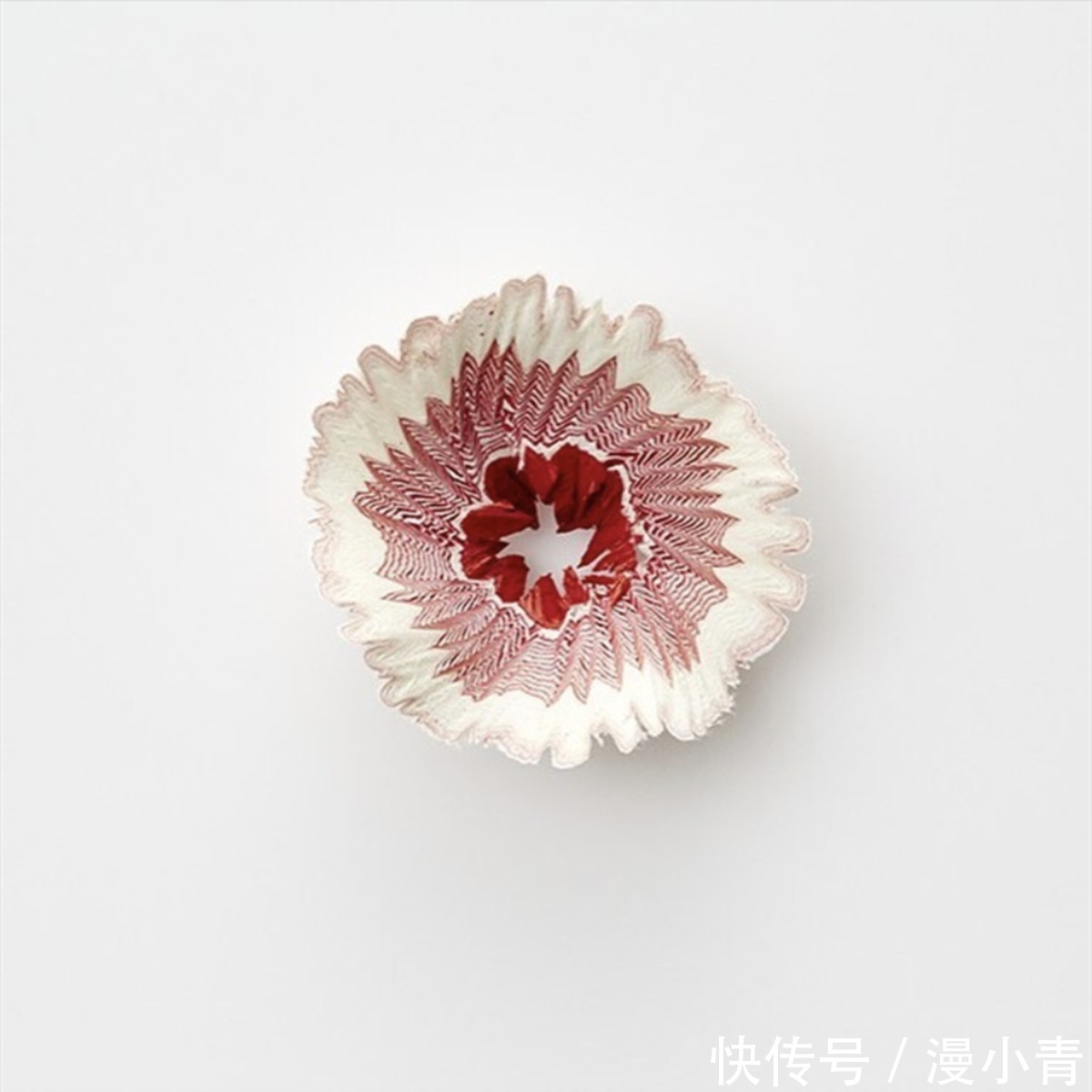 纸花$铅笔也能削出花来,这样的削铅笔达人,应该是一个喜欢二次元的人
