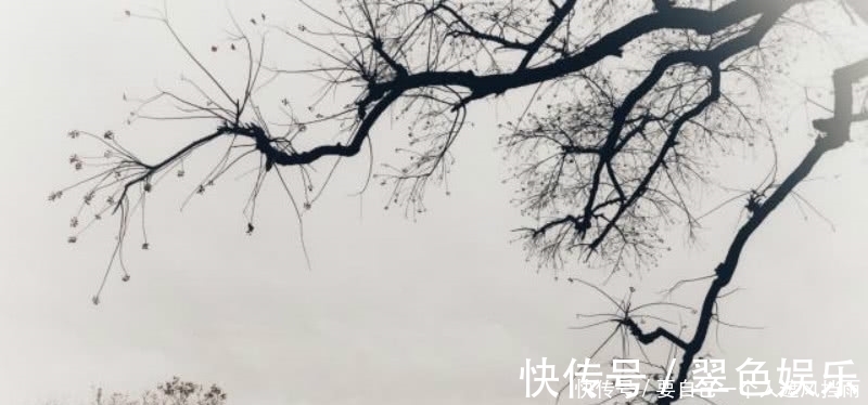 水通|李清照这首诗成为了绝唱,里面句句是经典,成为宋诗里的千古名篇