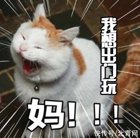 条约|别!喊!妈!了!这位妈妈直接这样做……