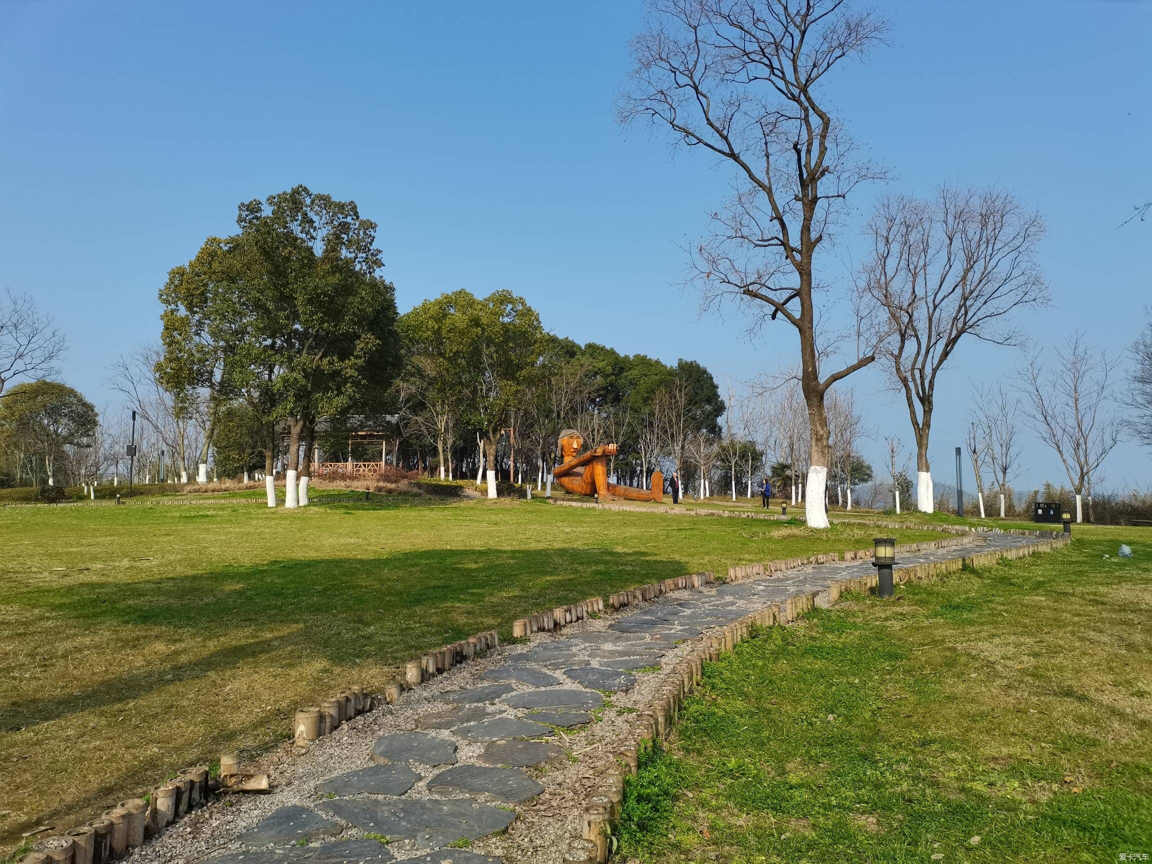 情人节逛森林公园