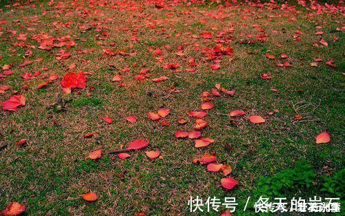 乱红!欧阳修最经典的一首词,开篇就是名句,李清照也赞不绝口