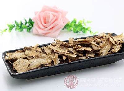 当归的功效与作用 这些禁忌不可不知
