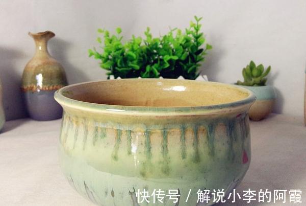 植物花盆选用有讲究,用错花盆植物寿命会减短