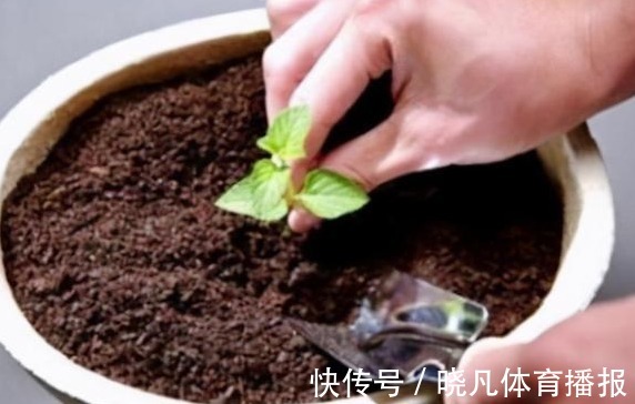 养花|喜欢养花，先戒掉7个坏习惯，不然啥花也养不好，你占了几个？