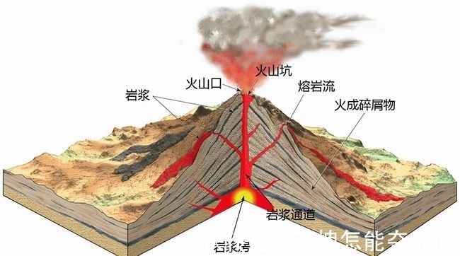 深大城际最新消息2026