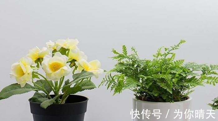 慧根#真正内心强大的人, 常把这两句话挂在嘴边的人, “慧根”无限!