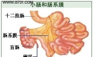  男孩饭后做了这个动作，一肚子小肠全变黑，15米小肠被切除