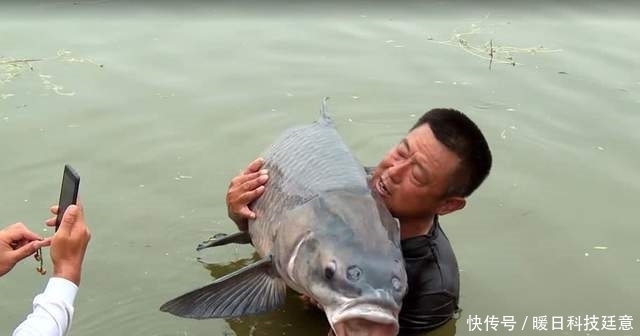 大鱼|为什么游钓中国李大毛钓的鱼都那么大?