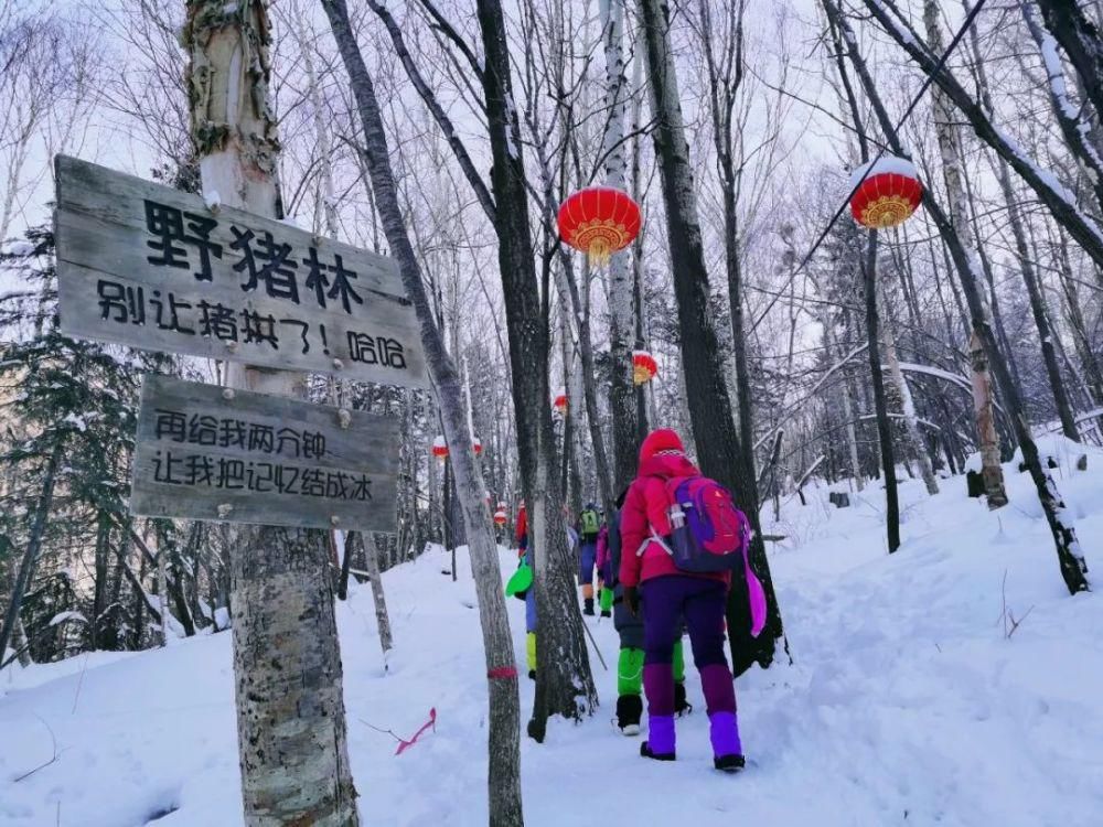 雪谷|?中国雪谷 一路穿行一路风景！