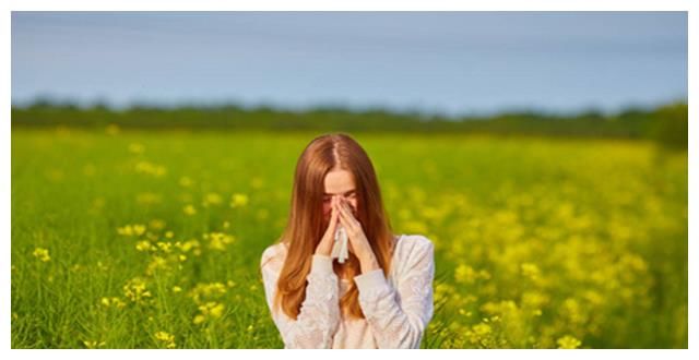 【茜茜自制果蔬护肤品专栏】自制野菊花面膜