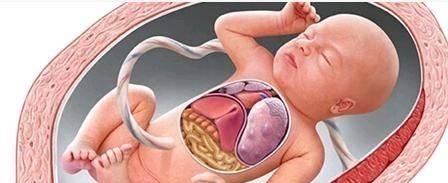 胎心|胎儿在妈妈肚子里也会缺氧,会这样小心的“提醒”妈妈