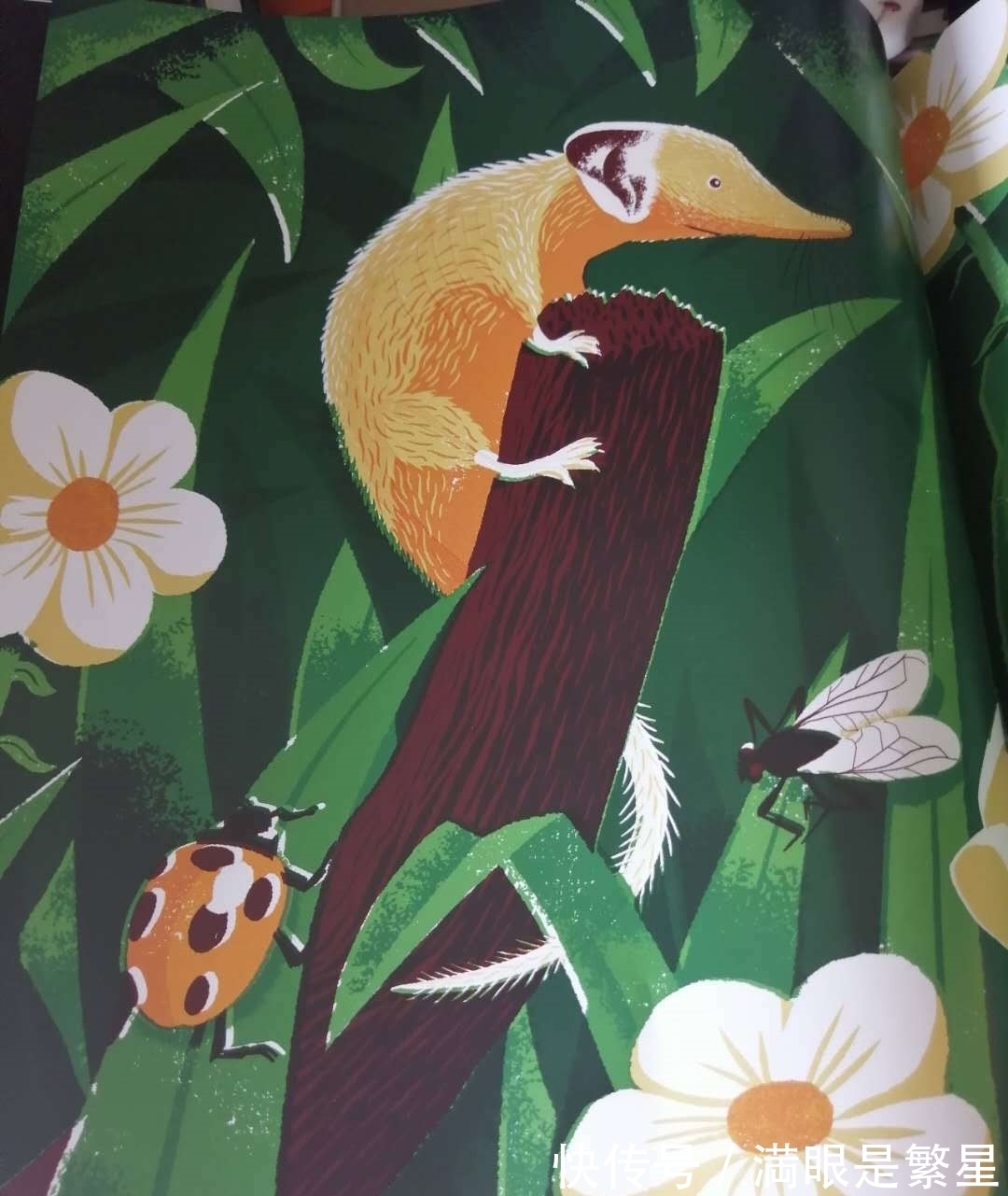 骨头之书&一本很有“骨气”的大书,帅气地告诉你10项世界之最