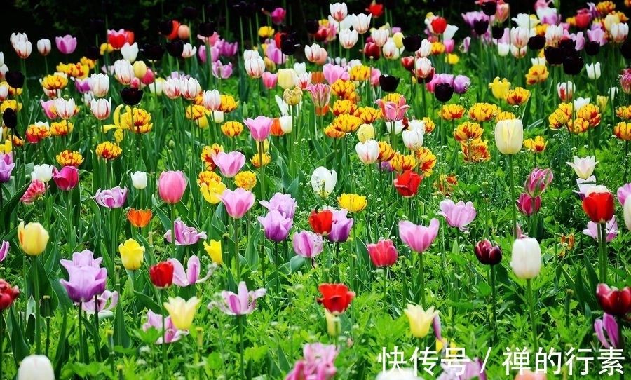 晏殊|唯美诗词名句100句,每一句都是精华中的精华