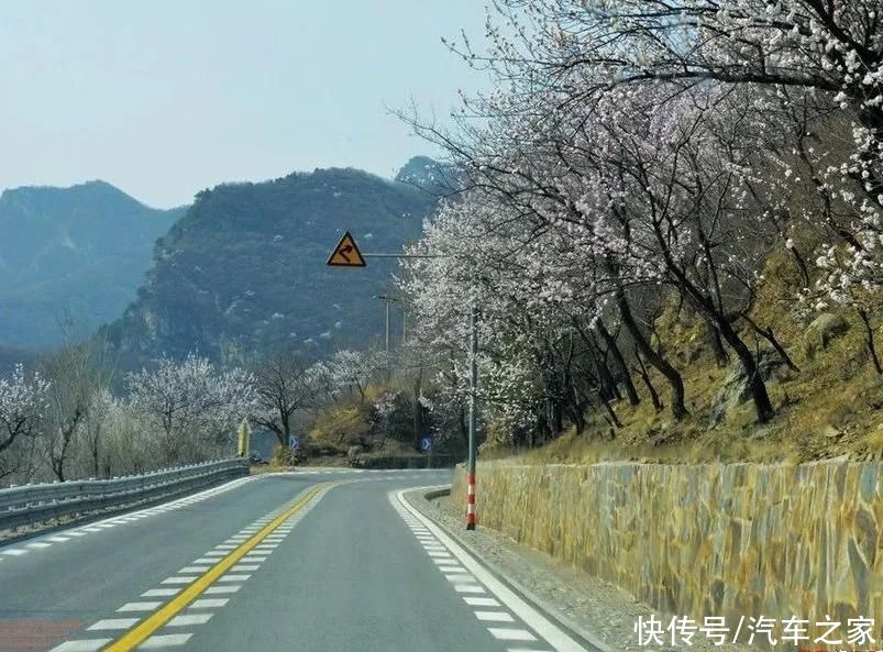 路上可以遇见大熊猫!自驾游这条冷门线路别错过