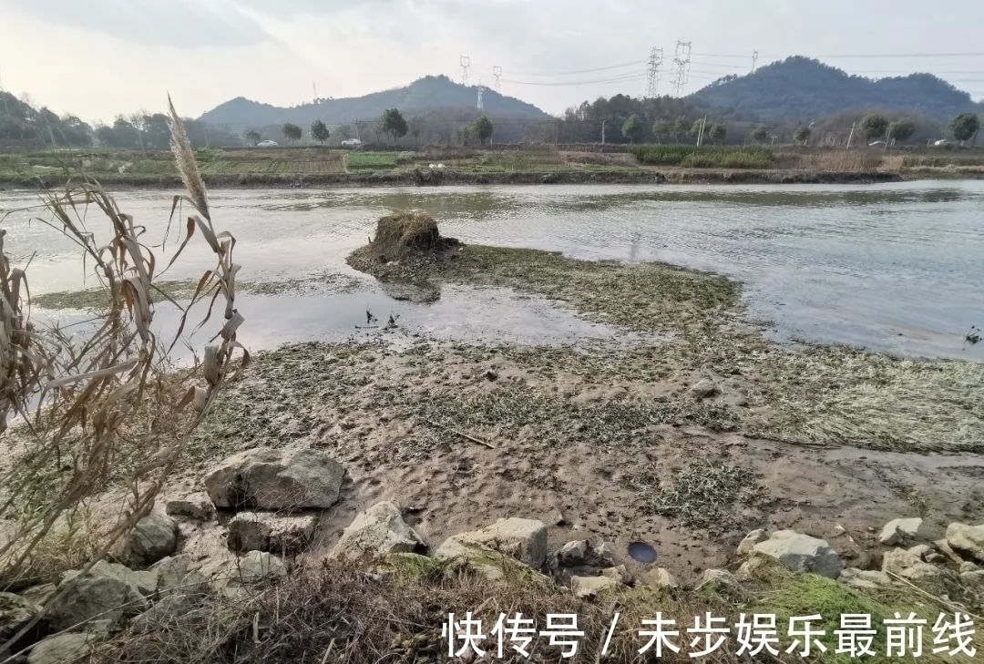 新手|退水该怎么钓鱼?老手和新手的区别就在这,看清楚了!