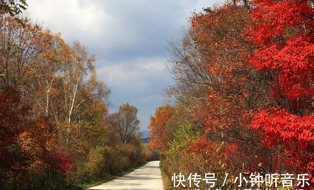 宝藏地|吉林旅游宝藏地，两个风格迥异的红叶谷，你更喜欢哪一个