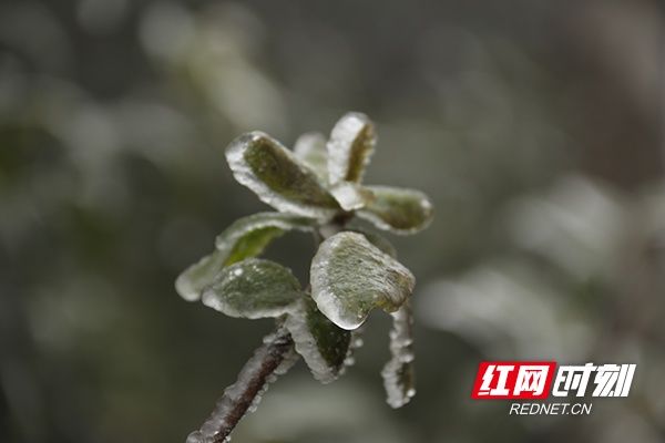 瑶乡|湖南道县：瑶乡瑞雪迎新春