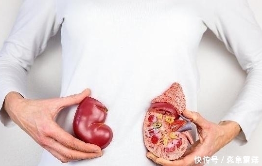 肾气|枸杞加“1物”泡水喝，坚持喝7天，可能肝脏干净，肾气也补回来