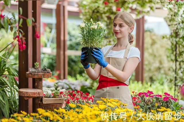 兰花|“人养花三年，花养人一生！”家居盆花100种，总有几款你喜欢