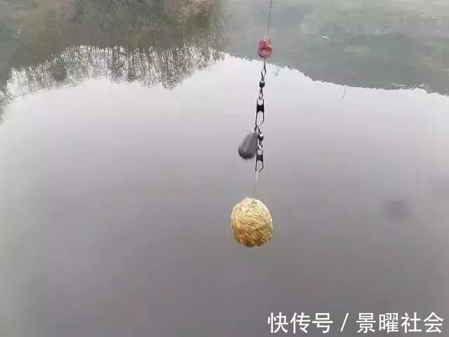 爆炸钩|爆炸钩钓鲤鱼,一天十条大家伙绰绰有余,钓鱼钓到手发软