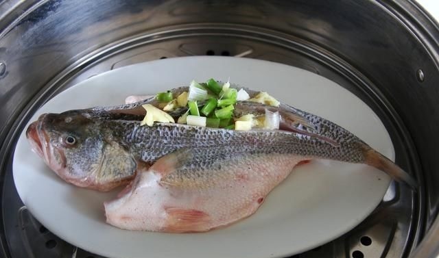 清蒸鲈鱼用热水还是冷水?10个人9个错,难怪鱼肉不鲜且腥味重