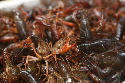 天热了,就该多吃此肉,保存起来放冰箱,随吃随取,太过瘾了