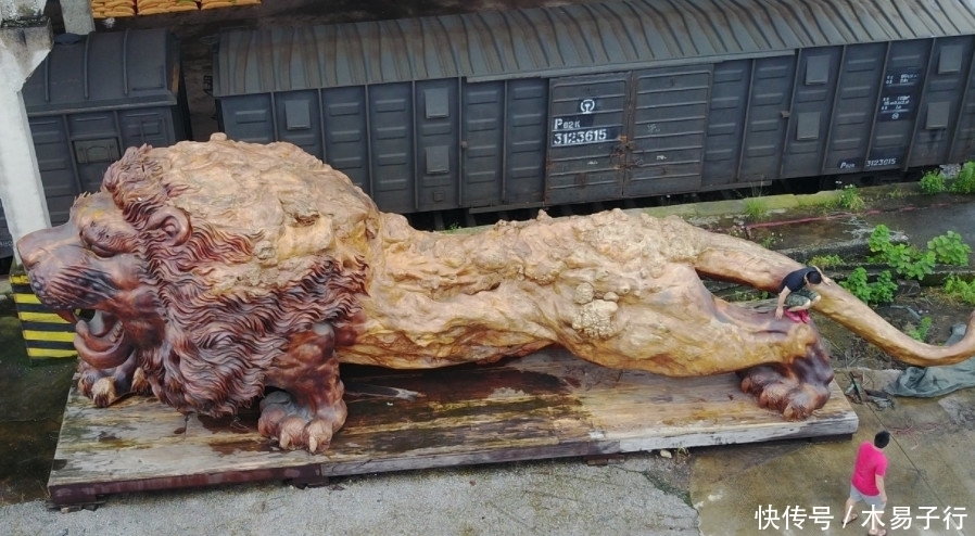 楠木|用30吨楠木雕成的巨狮三百万不卖,出价千万无人买,已搁置5年