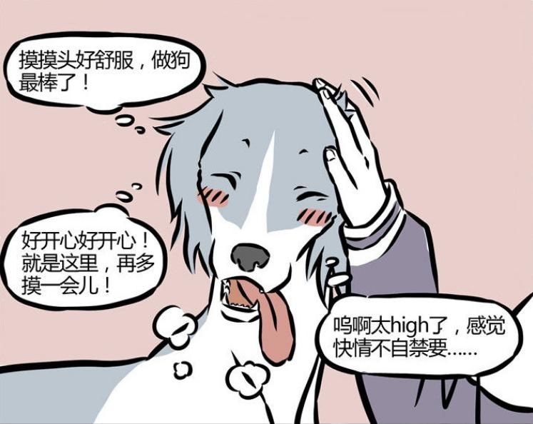 女孩子|非人哉：哮天被女孩子包围，随后被抓走！他的双眼很无助！