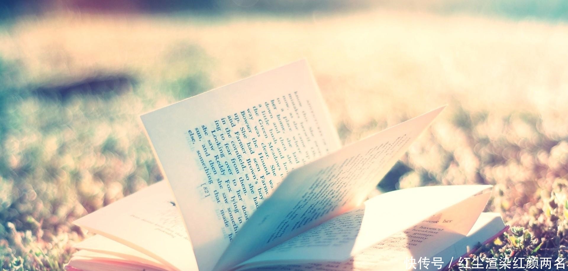 1年读200本书,日更700天,我是如何做到的?