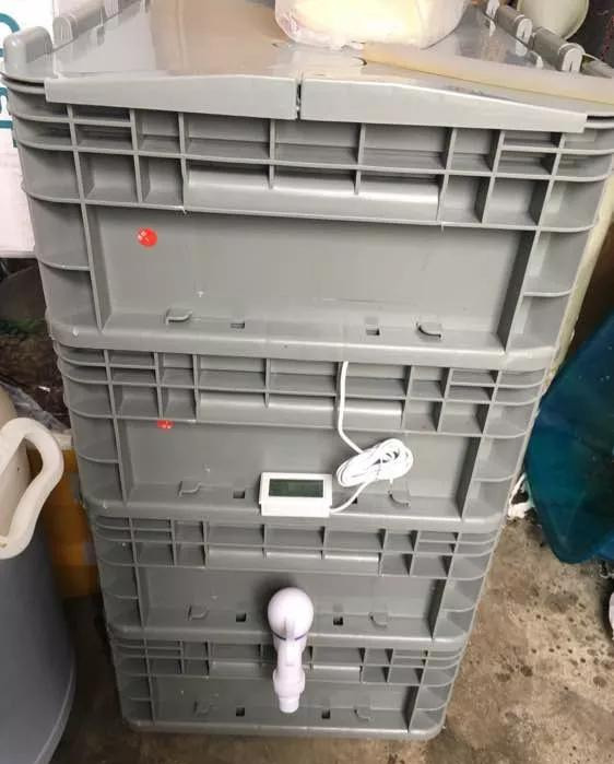 淘米水啤酒水,真不如这种水,养花一绝,浇一盆旺一盆