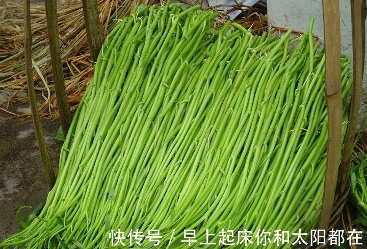 蕹菜|糖尿病人的福音常吃“此菜”，堪比打胰岛素，血糖乖乖降下来！