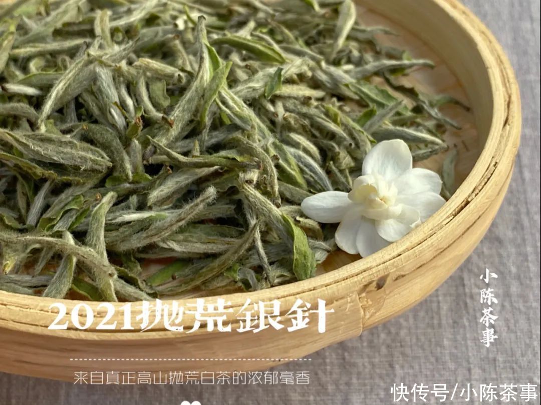 茶叶|白毫银针加桂花，是锦上添花，还是画蛇添足？老茶友都不这么做