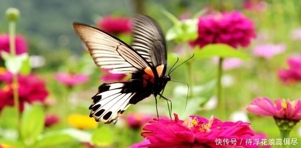 福气|“消福容易,攒福难”,有3个“坏习惯”,往往会消耗福气