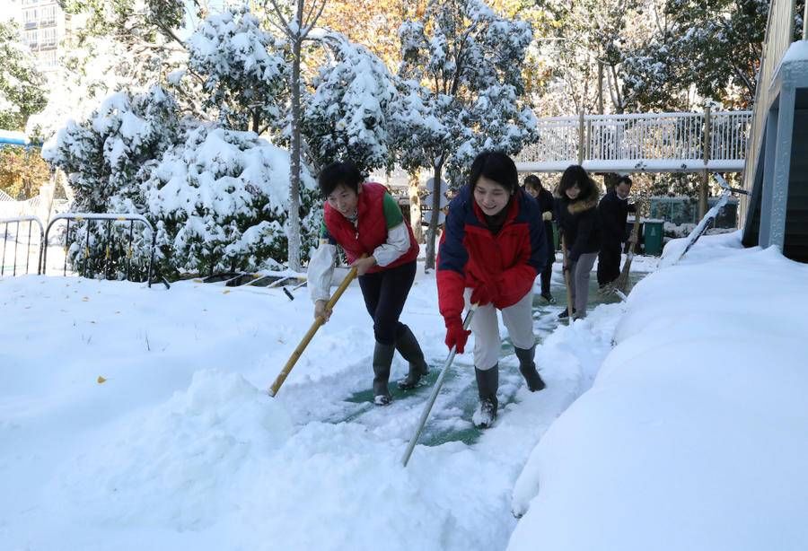 山东省实验幼儿园|山东省实验幼儿园(南校区)扫雪我先行，保留冰雪创造“游戏区”