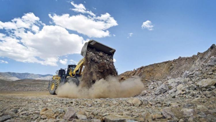 凶手|刘志丹是被谁打死的，凶手后来被陈赓活捉，最后结局意想不到